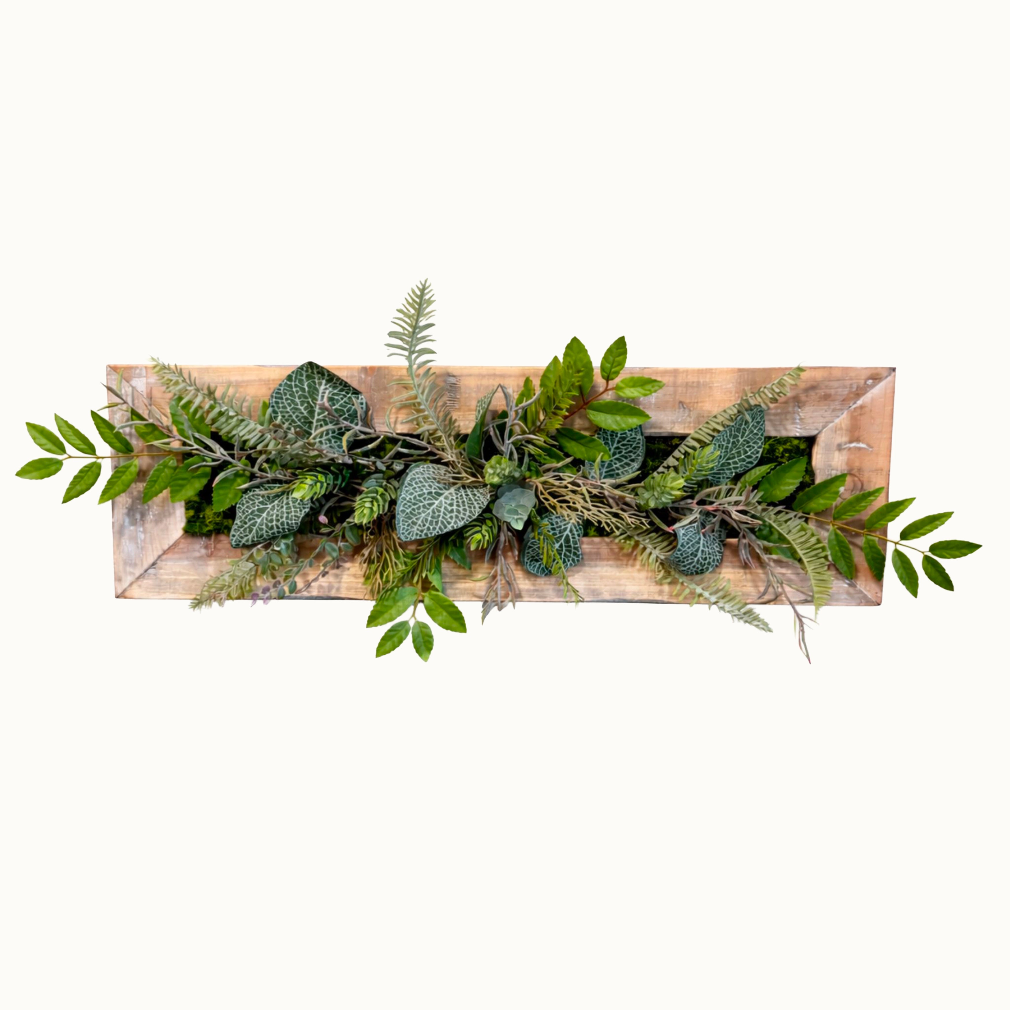 Tableau Végétal Alocasia 53x17cm