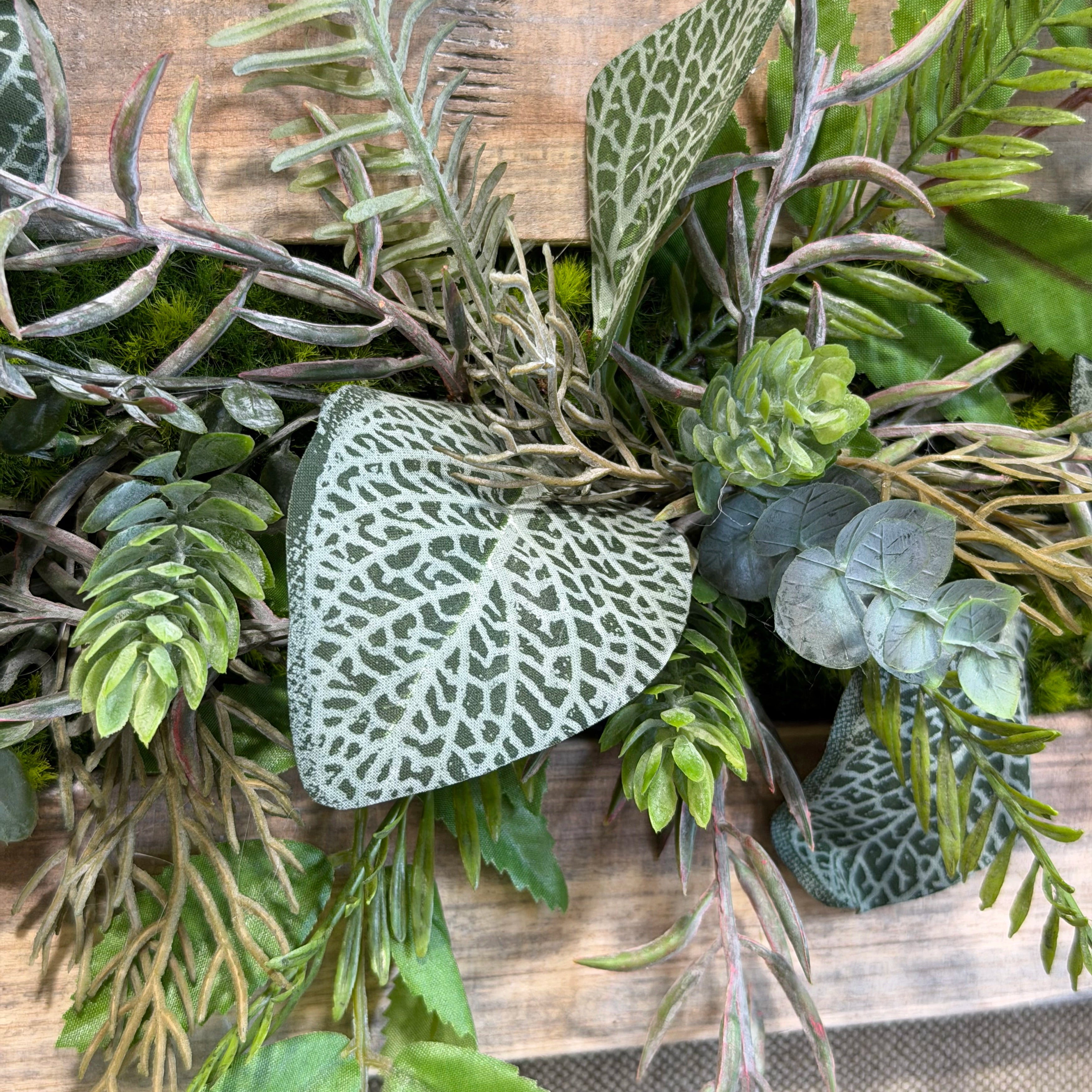 Tableau Végétal Alocasia 53x17cm