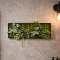 Tableau Végétal Aloe 50x20cm