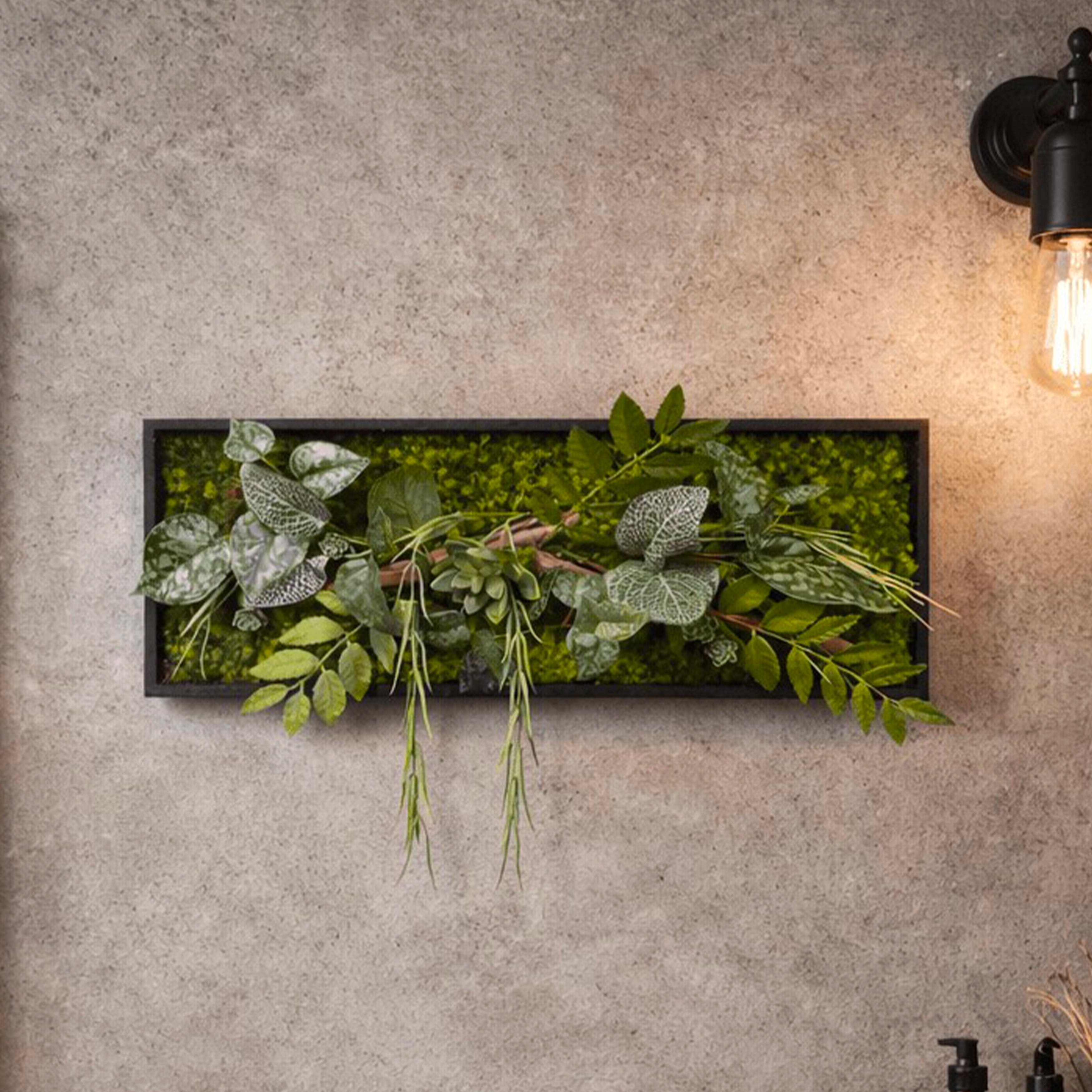Tableau Végétal Aloe 50x20cm