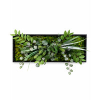 Tableau végétal Anthurium 50x20cm