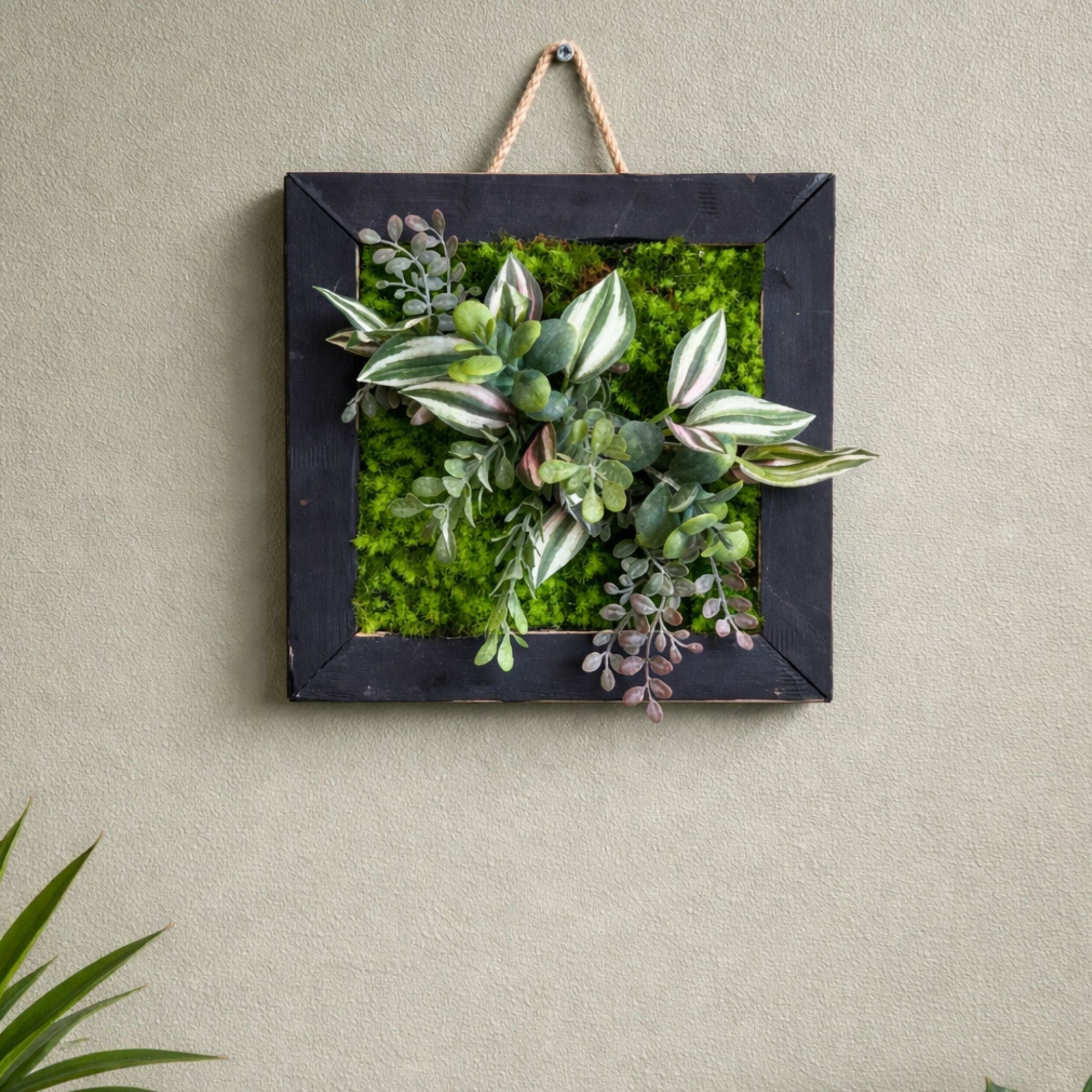 Tableau végétal Aralia 22x22cm
