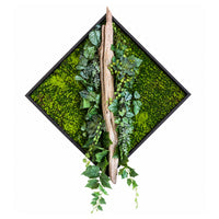 Tableau végétal Bambou 70x70cm