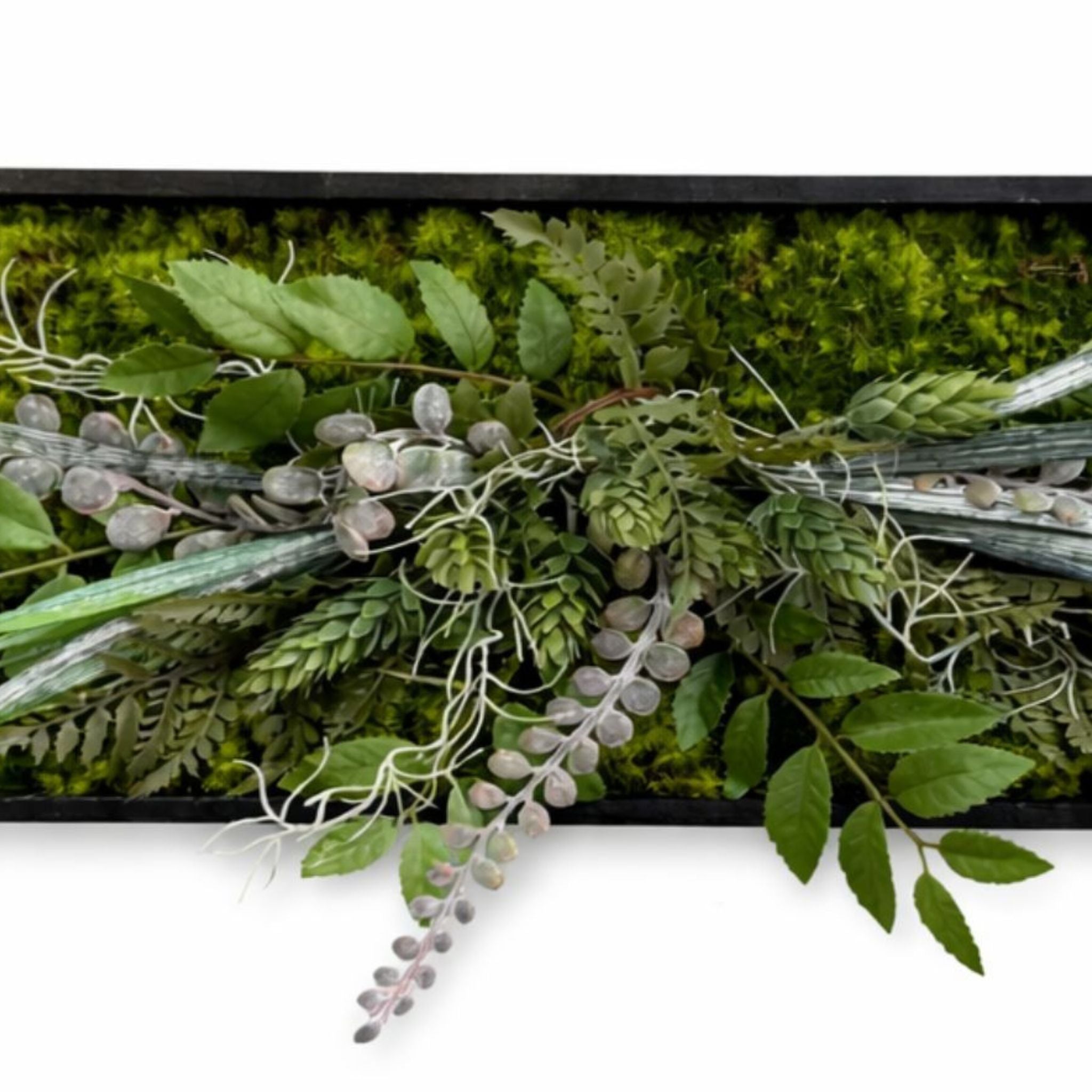 Tableau végétal Bleuet 50x20cm