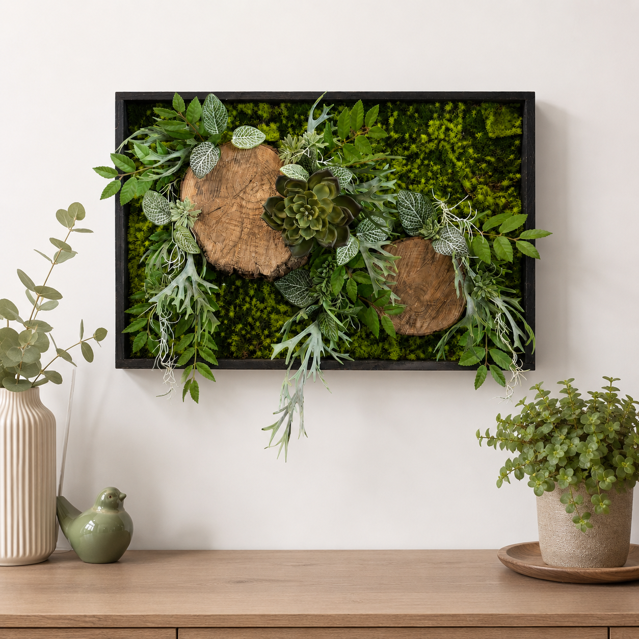 Tableau végétal Byblis 60x40cm