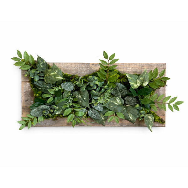 Tableau végétal Caladium 59x29cm