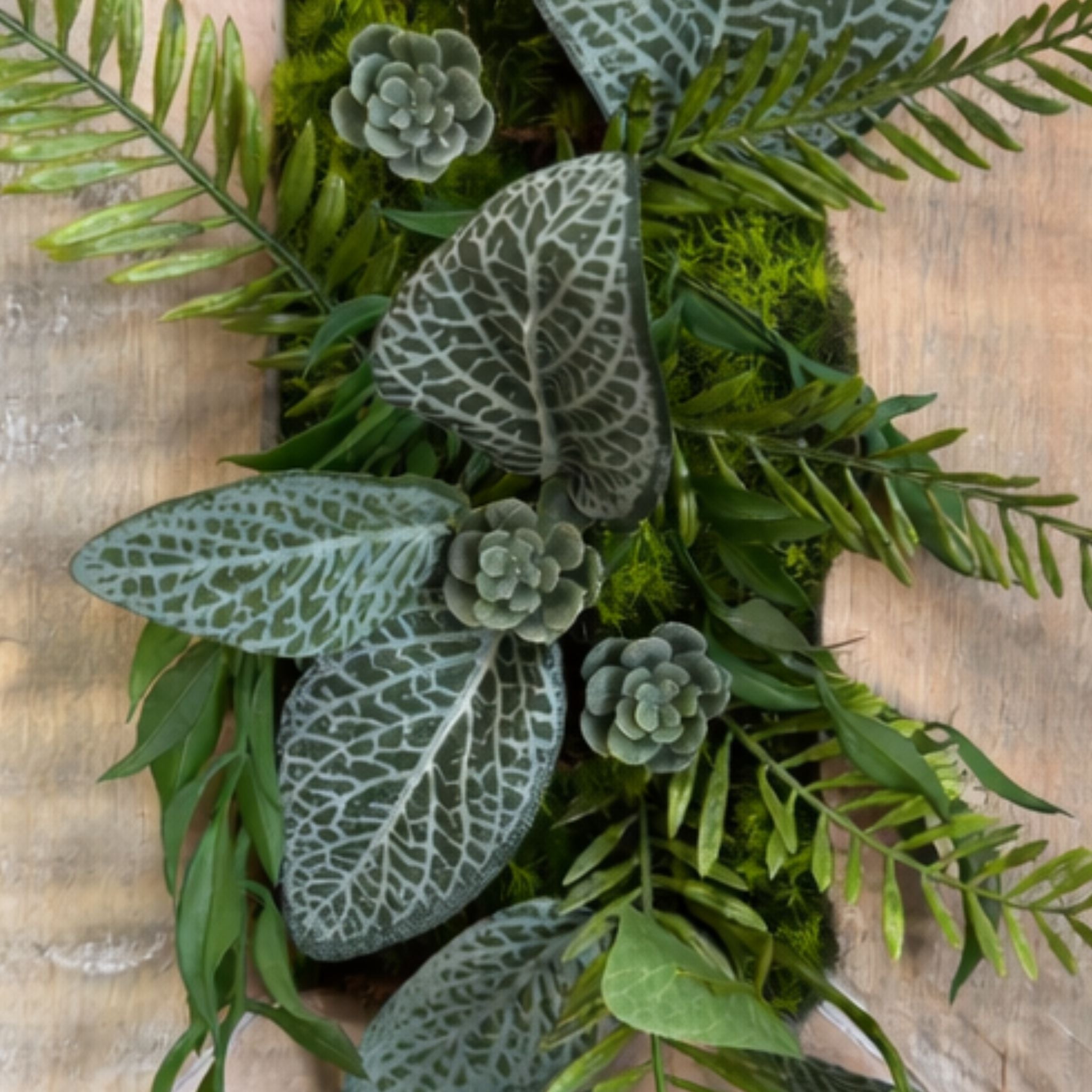 Tableau végétal Calathea 25x17.5cm