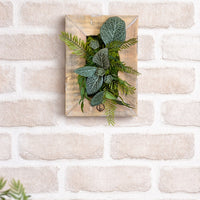 Tableau végétal Calathea 25x17.5cm