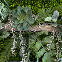 Tableau végétal Catopsis 110x40cm