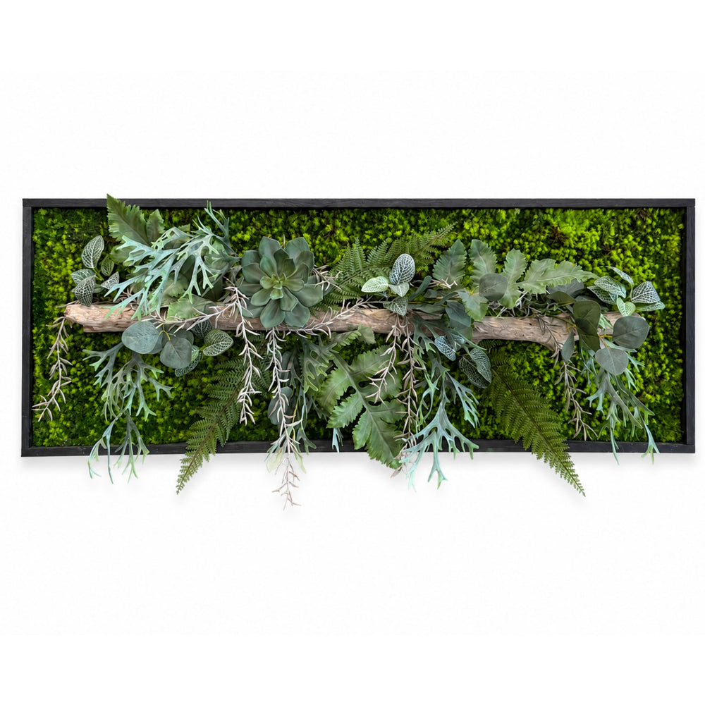 Tableau végétal Catopsis 110x40cm