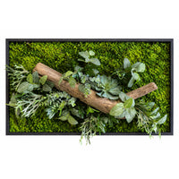 Tableau végétal Catopsis 80x51.5cm