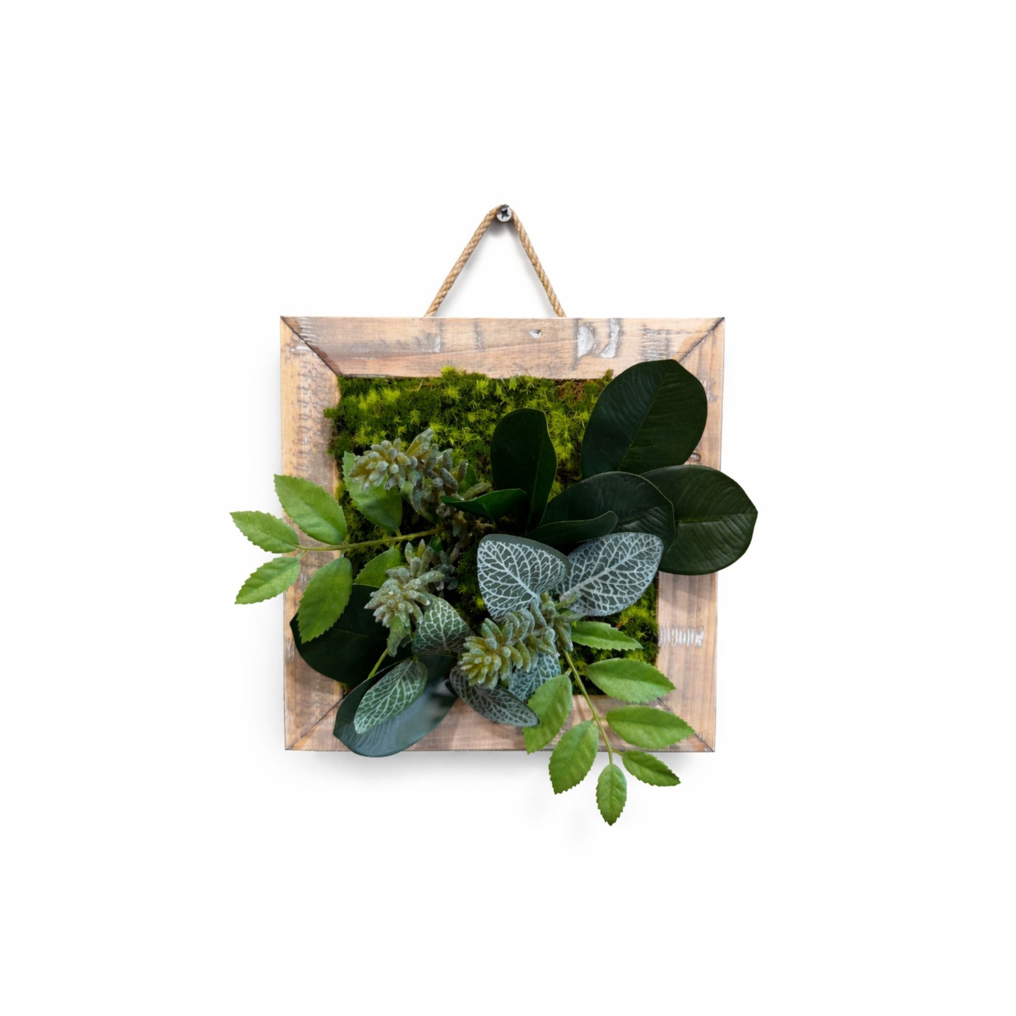 Tableau végétal Dahlia 22x22cm