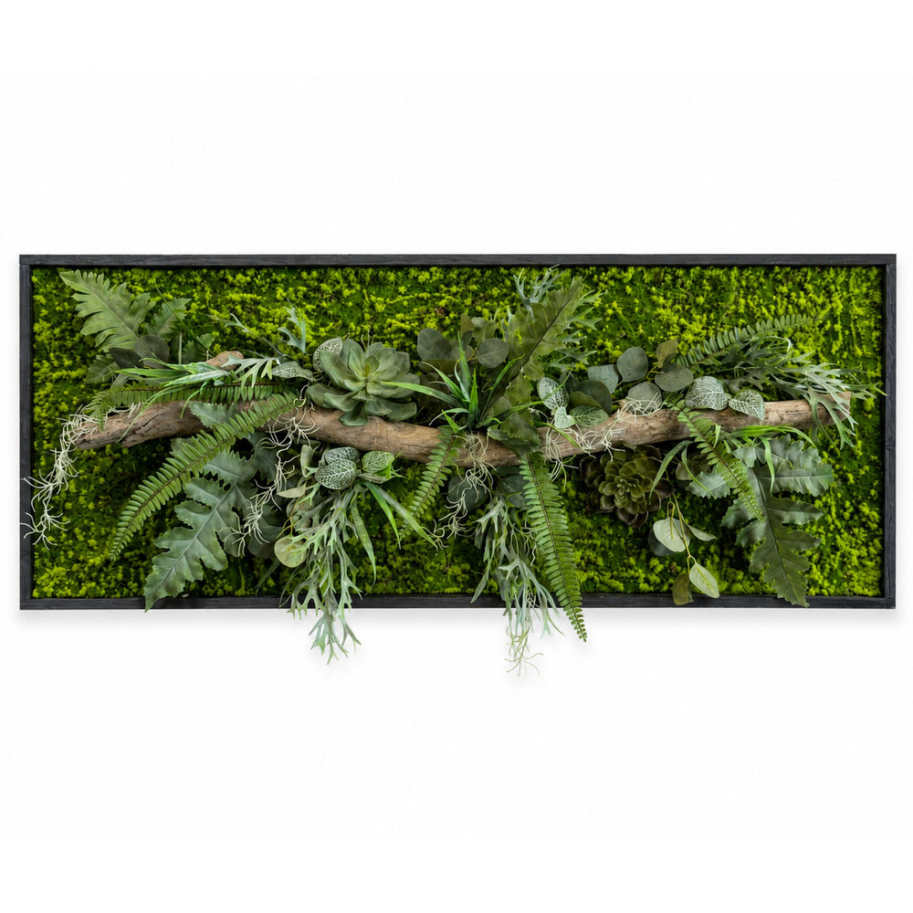 Tableau végétal Drosera 122x49,cm