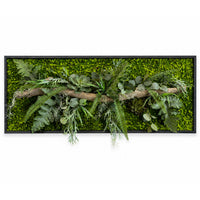 Tableau végétal Drosera 122x49,cm
