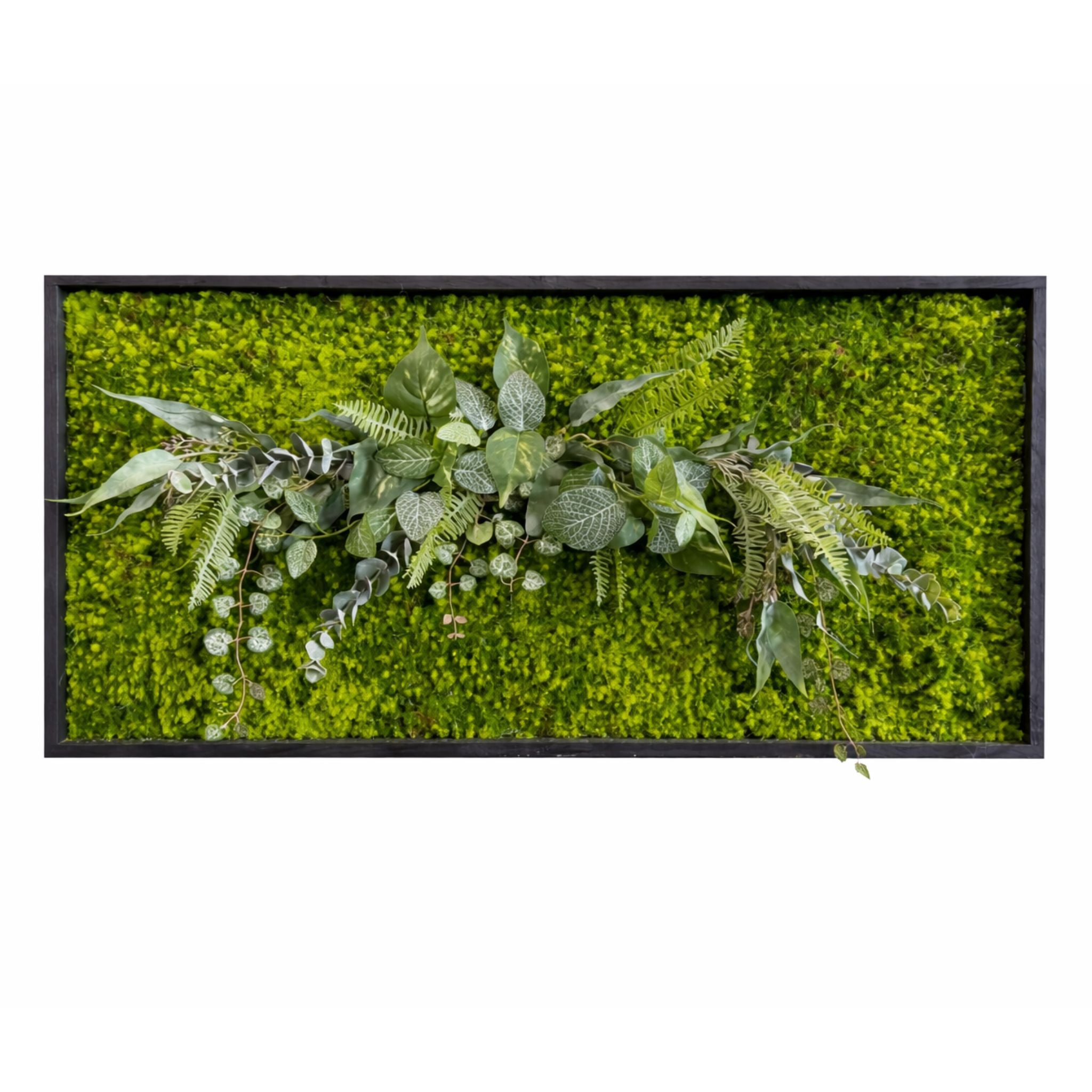 Tableau végétal Eglantine 87,5x42,5cm