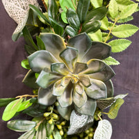 Tableau végétal Fatsia 59x29cm