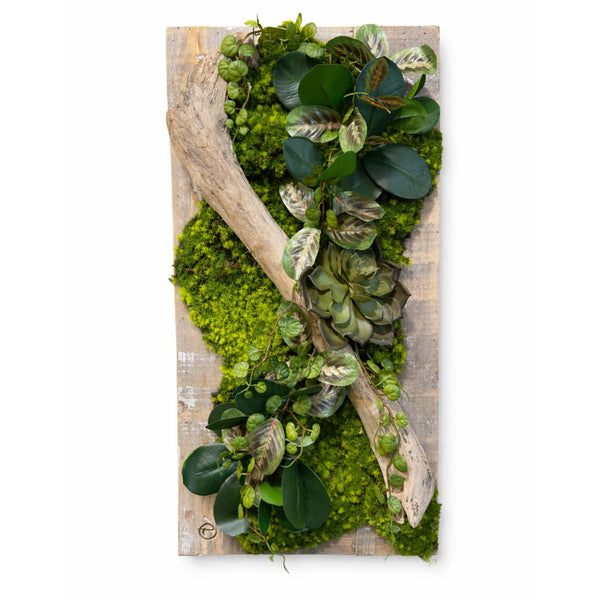 Tableau végétal Ficus 59x29cm