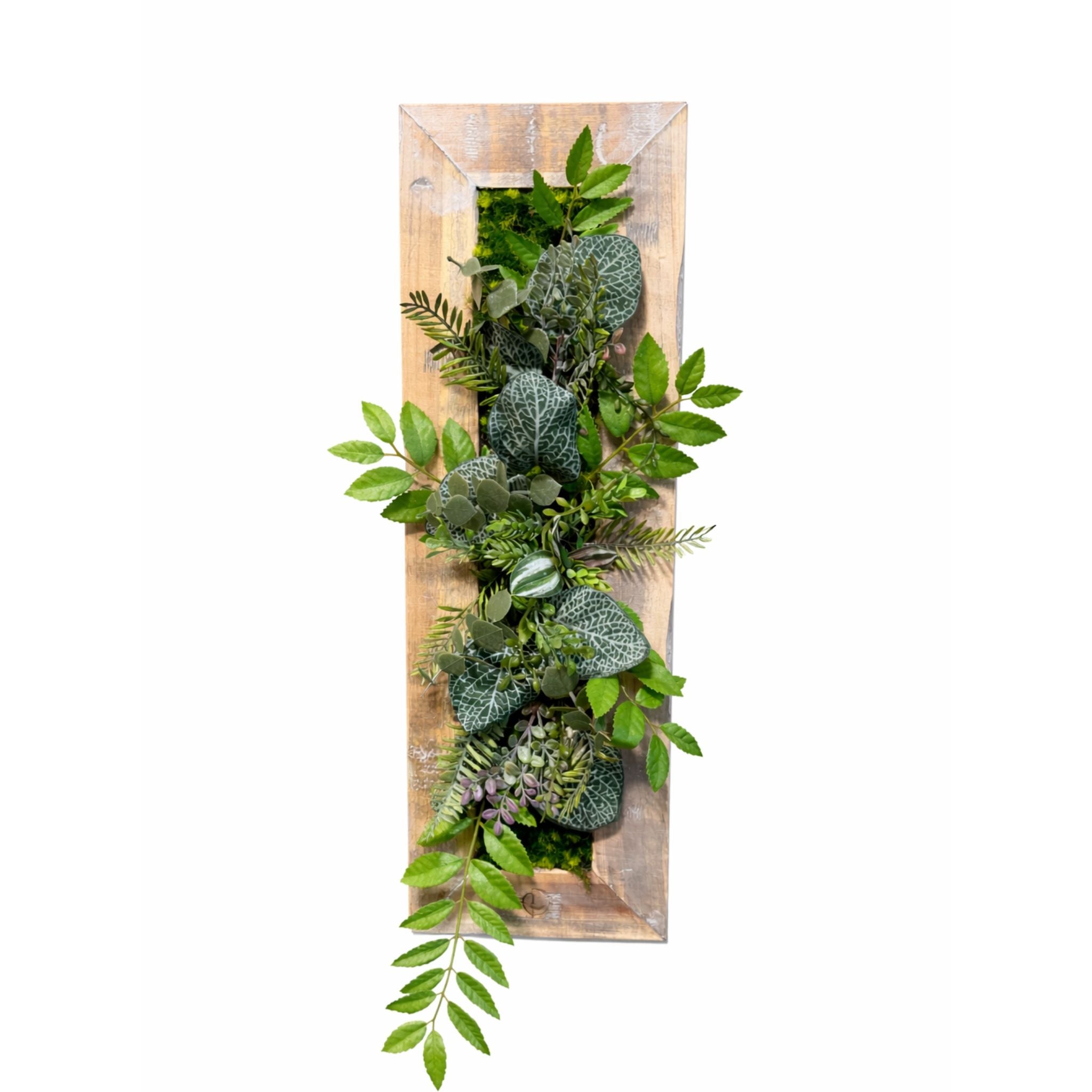 Tableau végétal Houblon 53.5x17.5cm
