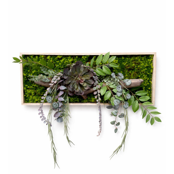 Tableau végétal Jacinthe 50x20cm
