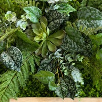 Tableau végétal Limonium 61x40cm