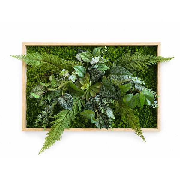 Tableau végétal Limonium 61x40cm