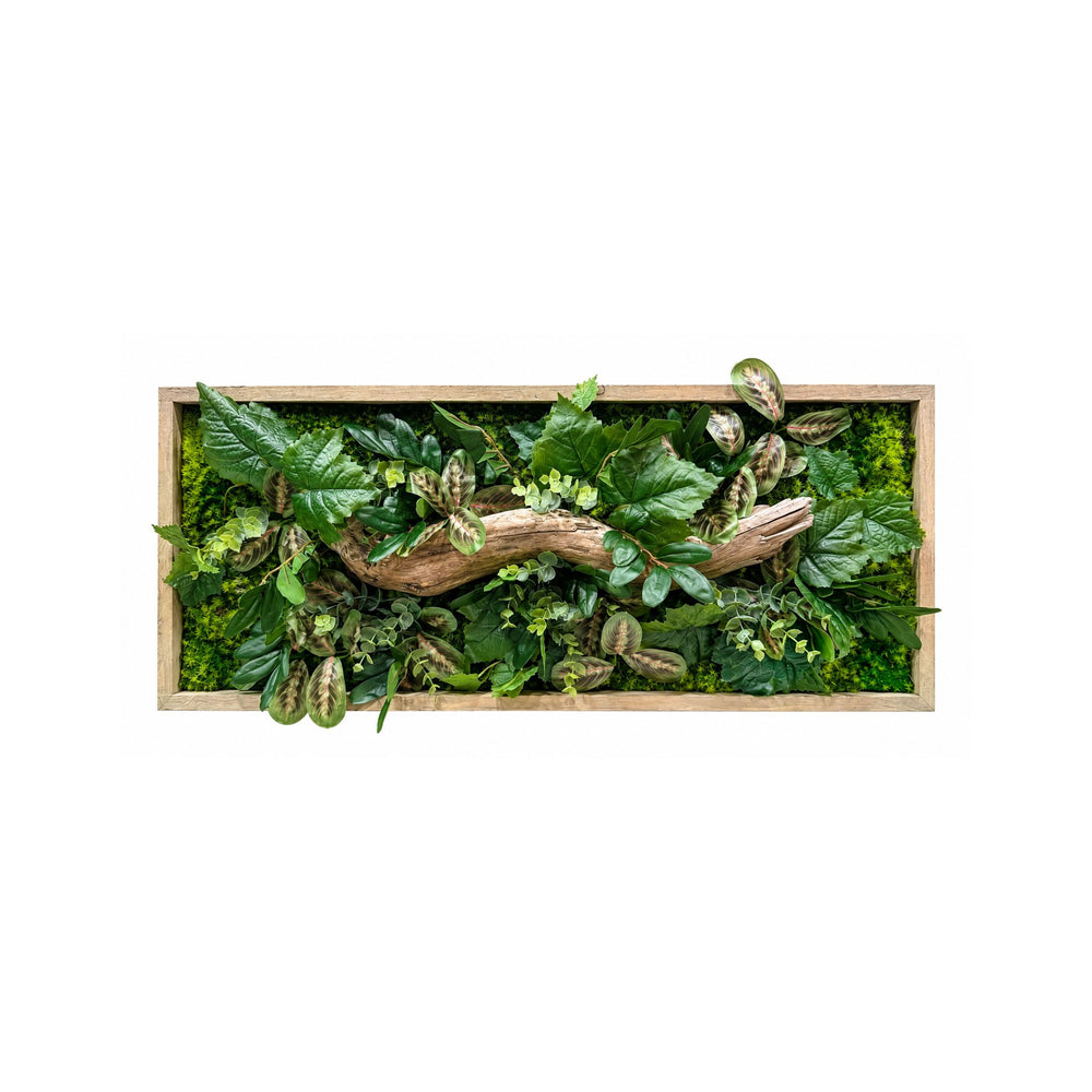 Tableau végétal Lotus 70 x 30cm