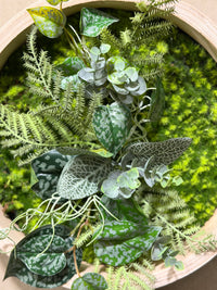 Tableau végétal Monstera 30cm