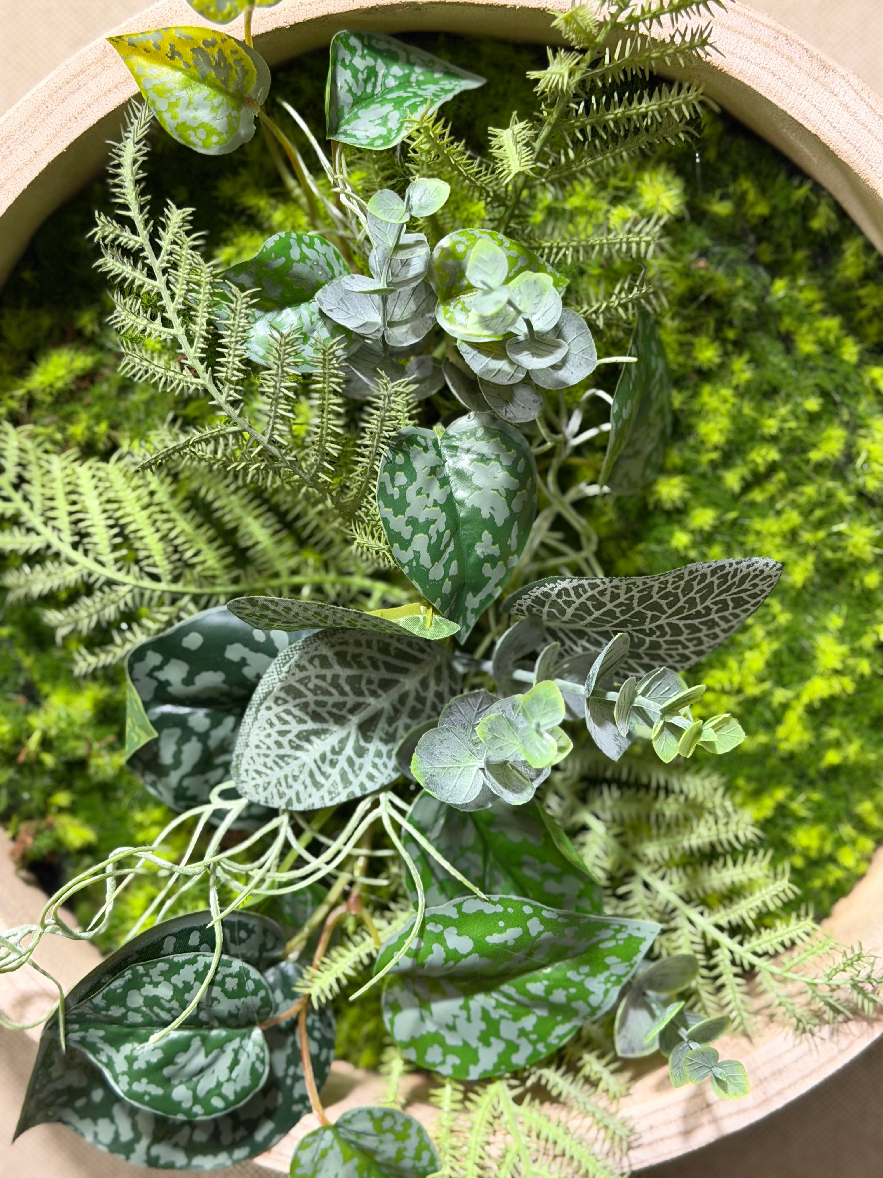 Tableau végétal Monstera 30cm