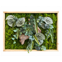 Tableau végétal Pétunia 67.5x52cm