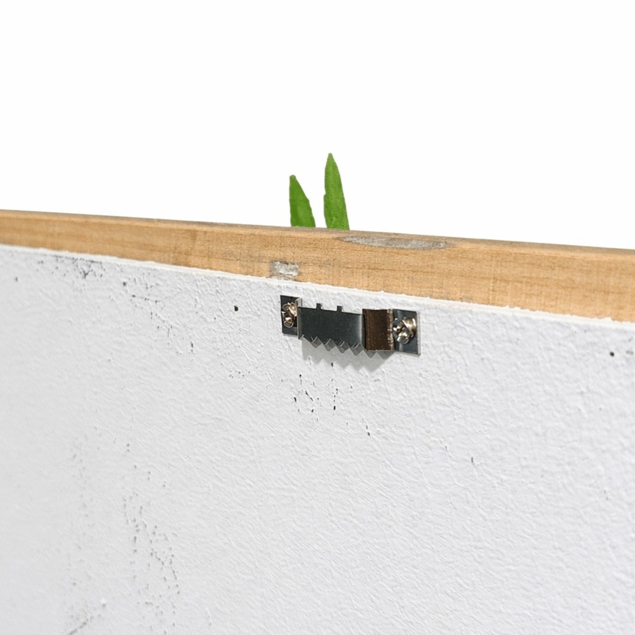 Tableau végétal Pilea 25x17.5cm