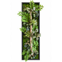 Tableau végétal Asther 100 x 25cm