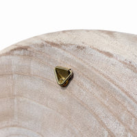 Tableau végétal Tulipe 23cm