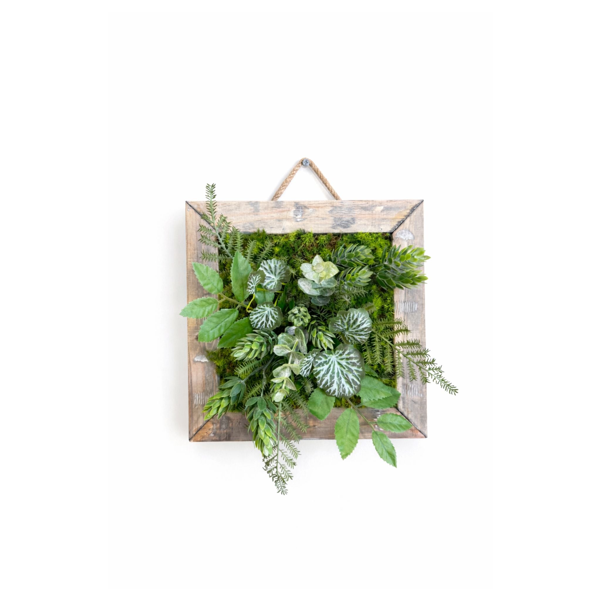 Tableau végétal Viburnum 22x22cm