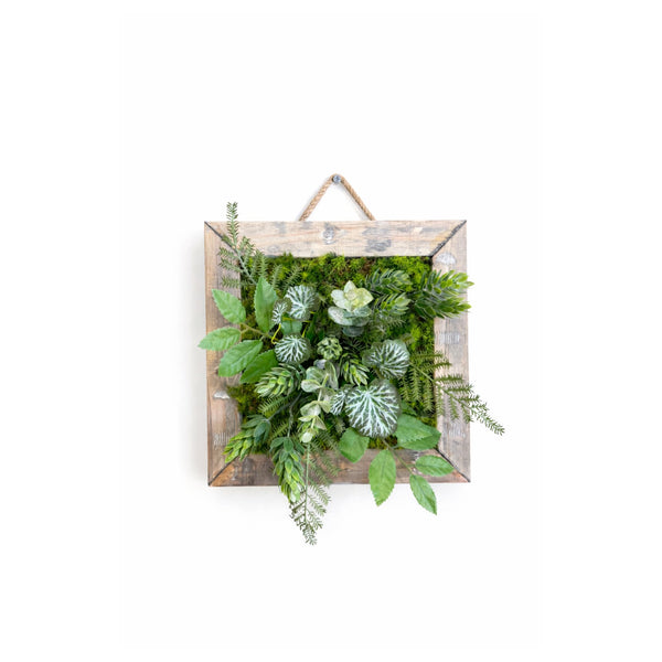 Tableau végétal Viburnum 22x22cm