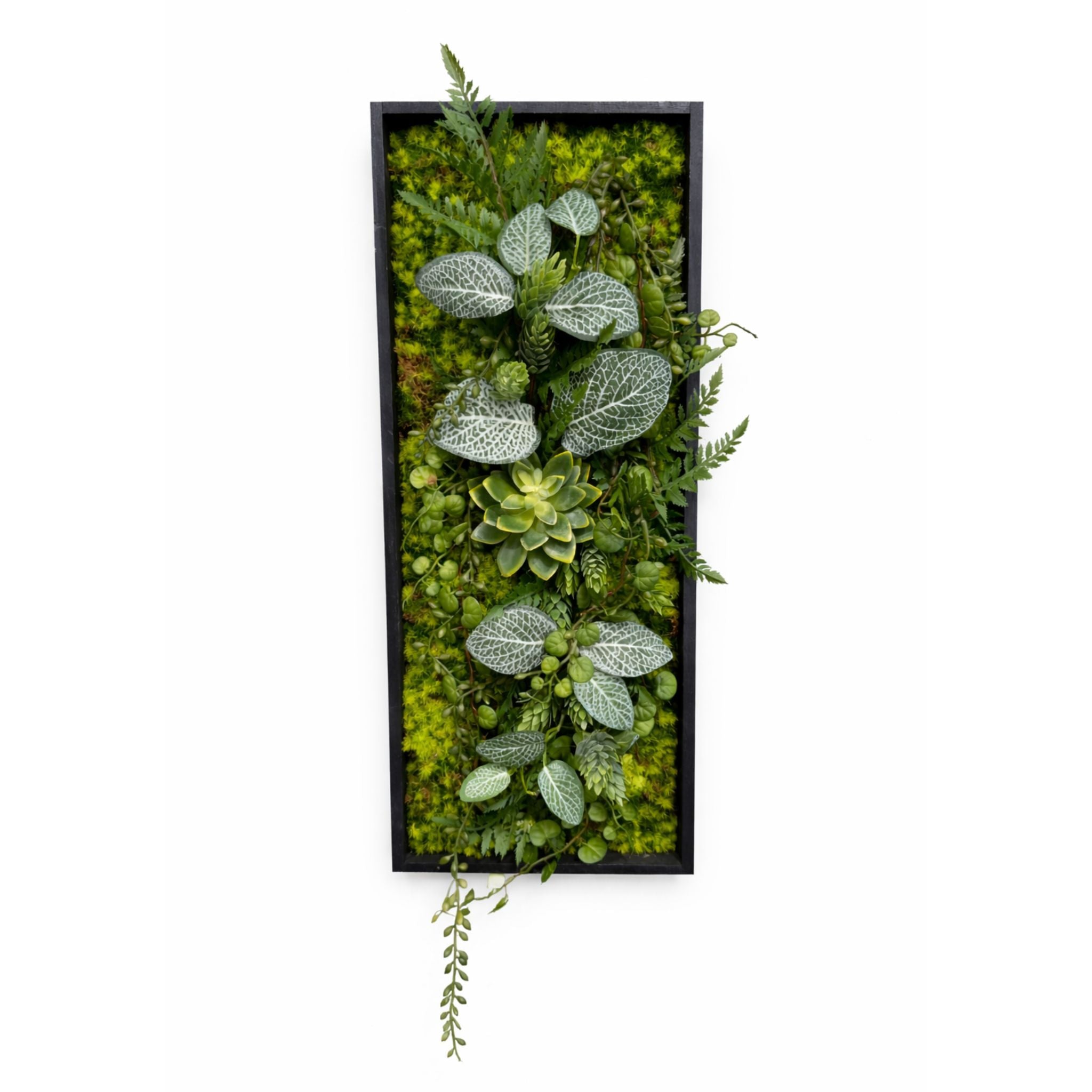 Tableau végétal Violette 50x20cm